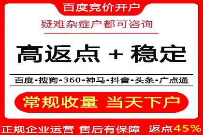 成功案例：SEM竞价托管的策略与效果